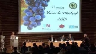Premios Vi&ntilde;a Madrid 2013
