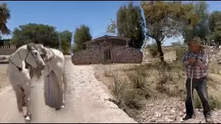 A QUI EN NUESTROS TIEMPOS NOS MANTENIAMOS DE NUESTRAS CARGAS DE LEÑA