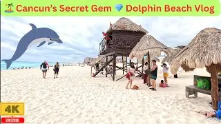 Intro- Cancun&rsquo;s Hidden Gem 🌊 Playa Delfines Beach Tour #vjspath #mexico #dolphinbeach