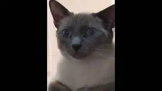 Olaf, he does this every day.