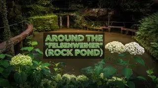 around the 