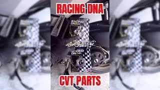 Racing DNA CVT Parts