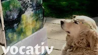 Ella The Doggie Art Critic Can Sniff Out A Good Painting