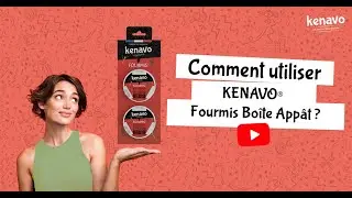 Comment utiliser Kenavo&reg;  Fourmis Bo&icirc;tes App&acirc;ts ?