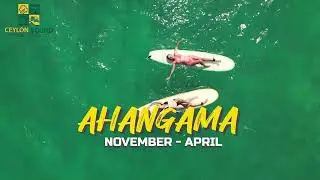 Surfing Seasons in Sri Lanka | Best Time to Catch the Perfect Waves 🌊