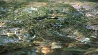 Free Footage River 4K UHD (3840x2160) 25p