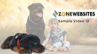 Sample 13 - Promo Video for Breeding, Training & Delivery of Rottweiler Puppies