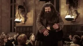 Rubeus Hagrid ‖ My Tears Becoming A Sea (Tribute to Robbie Coltrane)