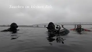 Tauchen in D&auml;nemark, der kleine Belt.