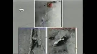 The DragMag Image Magnifier