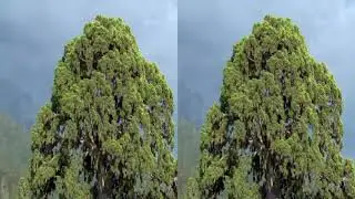 ►Documentary  Planet Earth Amazing Nature 3D SBS HD1080P FULL