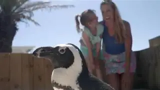 Gulfarium Marine Adventure Park
