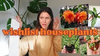 I Downsized My Plants But My Wishlist Just Got Bigger | My DREAM Houseplants