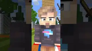 THE BEST SELECTION FROM THE ADVENTURES OF MR. #minecraft #mrbeast #mrbeest
