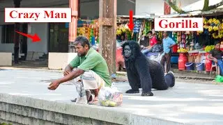 Gorilla Attack Prank | Scary Fake Gorilla Prank on Public (Part 4) | 4 Minute Fun