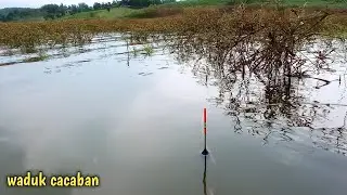 MANCING CACABAN : Pelampung nggak ngetrik ternyata ada ikannya