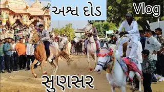 sunsar 🔥👑//Horses Race 🐎 in sunsar// ઘોડા દોડ સુણસર // gujarati vlog #sunsar #horses #vlog #best