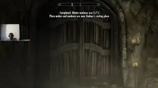 skyrim mods 2026