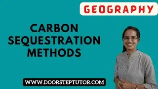 Carbon Sequestration: Methods - Carbon Farming, Microalgae, Seaweeds, Direct Air Storage, BECCS,Fuel