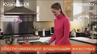 Ошейник для собак от блох и клещей FORESTO