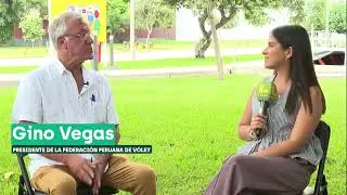 GINO VEGAS: 