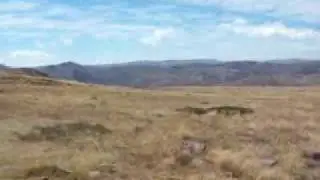 Tawonga Huts - Fainter Firetrack