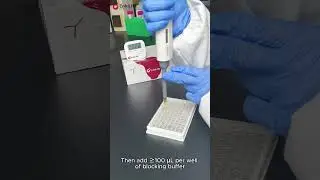 ELISA Blocking Explained: Why and How to Do It Correctly