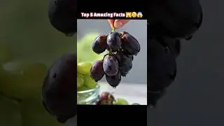 Amazing facts in hindi | #facts #gk #trending #shorts #viral #foryou