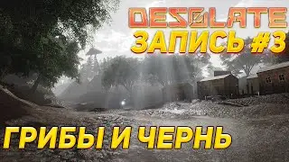 DESOLATE | ГРИБЫ И ЧЕРНЬ | СТРИМ ОТ 25.02.2023