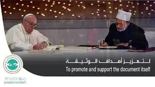 Why was the higher committee of human fraternity established?