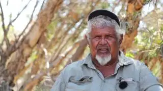 Bush Blitz - Working with the Nyaliga people of the Kimberley