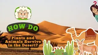 How Do Plants and Animals Survive in the Desert? Nature&rsquo;s Toughest Survivors