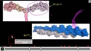 L.IVE  An Integrated Interactive Video based Learning Environment