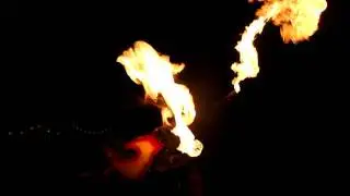 Greathouse Flame Dragon