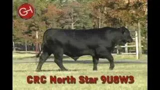 CRC North Star 9U8W3