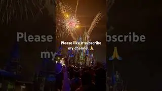 Magic Kingdom Park#fireworks at Disney#disneyworld  #fireworks #magickingdom #wonderfultime