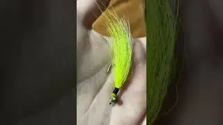 Showing you guys all my fly fishing lures
