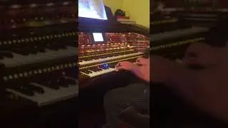 Zipidee Doo Dah - Tom rocks the Lowrey Royale SU500