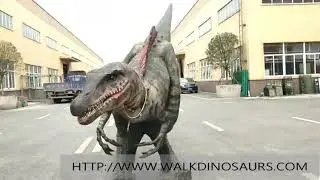 Walking spinosaurus  costume with visible legs