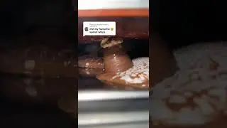 Pesce Who&rsquo;s coppped!!🤔🥵 #freezedriedsweetsuk #freezedriedsweets #halalsweetsuk #freezedriedcandy