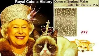 Royal Cats: a History of Cats at Court