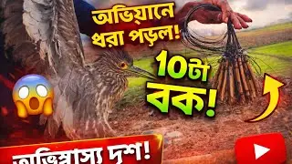 How to make ruak ruak bird hunting trap.