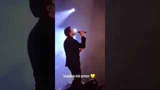 Vuelve mi amor, Mart&iacute;n Ricca 2025