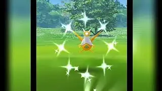 Rare SUPER Lucky SHINY found!! |Research Breakthrough|