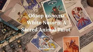 Обзор колоды 