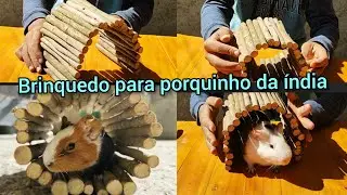 como fazer brinquedo para porquinho da índia/dobrável