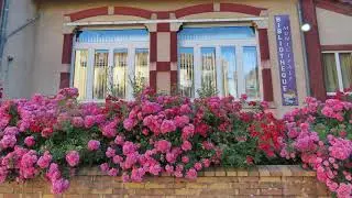 Piennes Village  fleuri 2019