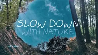 Smooth & Gentle Shaman Drumming 🌳 GAIA Grounding🌲 Slow Down with Nature  💖 Heart Chakra Meditation