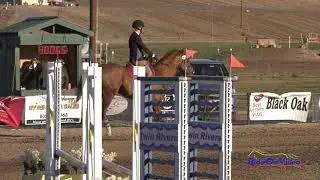301S Julianna Hulsker on Crimson Dynamo Intro Show Jumping Twin Rivers Ranch Feb. 2021