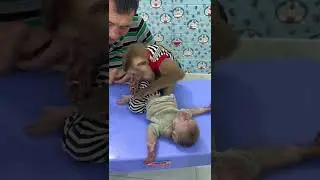 Monkey Sam is smart and delicate in taking care of baby Theo#shorts